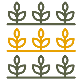 Головна